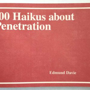 100 Haikus about Penetration